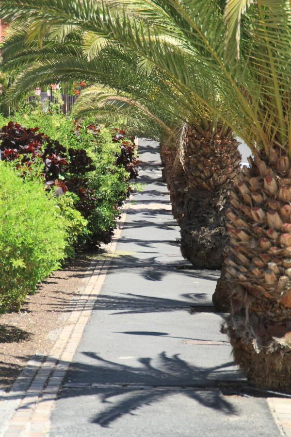 Spacious Apartment With Large Private Garden In Palm Mar Εξωτερικό φωτογραφία
